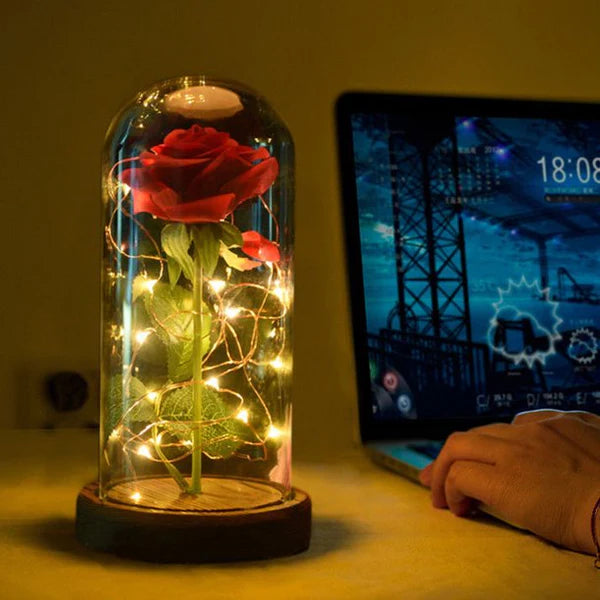 LED Eeuwige Roos