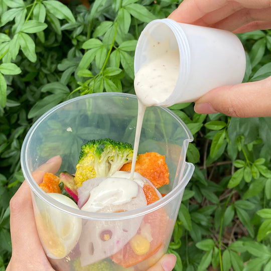 Draagbare Saladecontainer Met Dressinghouders 1000 ml 5