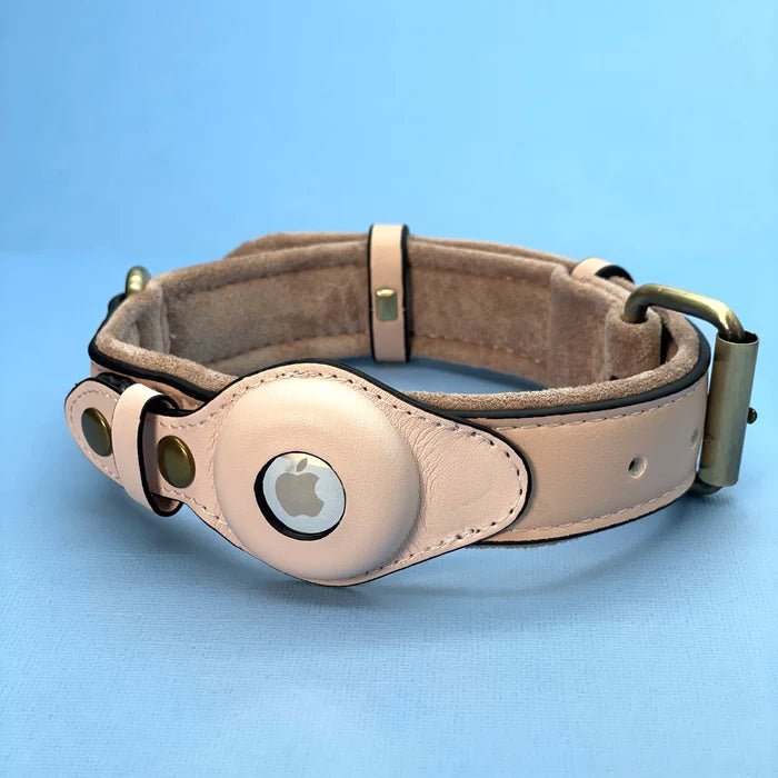 Halsband Hond Met AirTag Bevestiging Voor Buitenactiviteit En Comfort 4