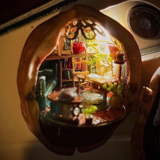 Handgemaakt Poppenhuis Walnootschelp met Binnenverlichting 7