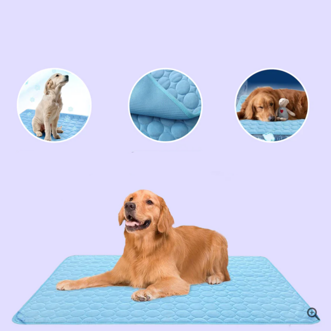 Honden Koelmat Innovatief Design 1
