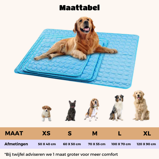 Honden Koelmat Innovatief Design 7