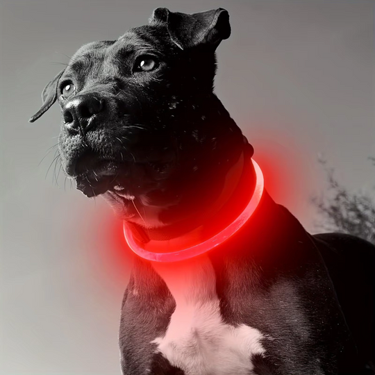 Honden LED-halsband Oplaadbaar Veiligheidslampje 7