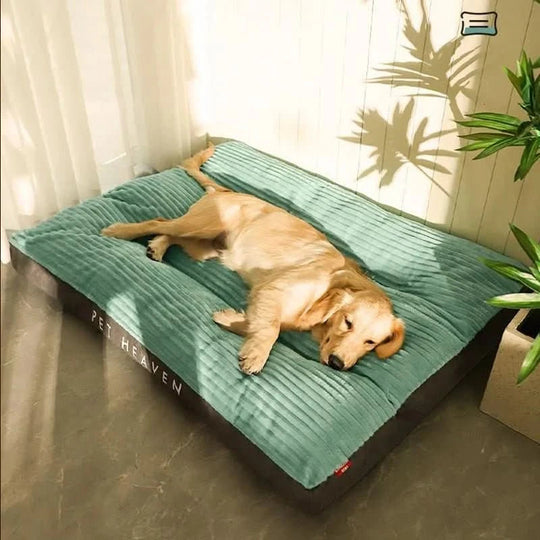 Hondenbed voor Comfort en Ondersteuning 6