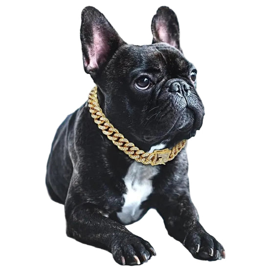 Hondenhalsband met Gouden Ketting en Zirkonia-diamanten 0