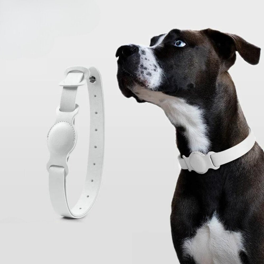 Hondenhalsband voor AirTag met Luxe Leer 3