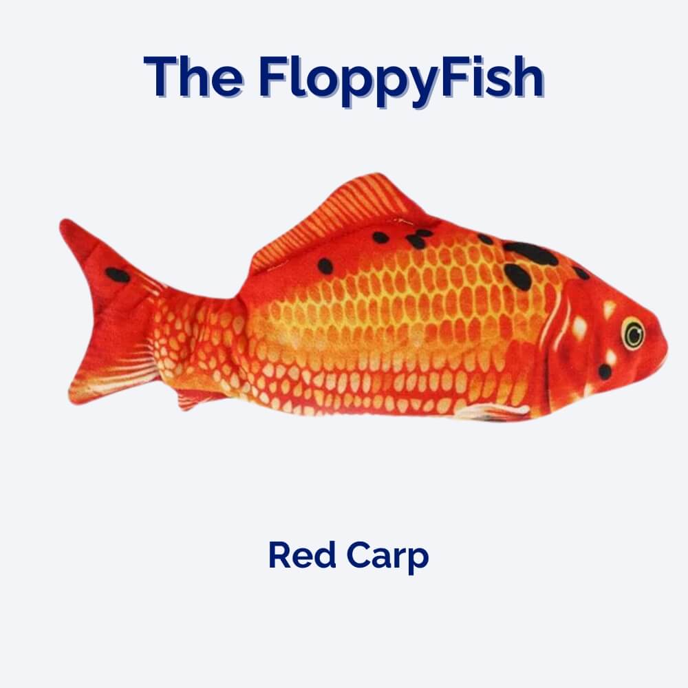 Interactief Hondenspeeltje FloppyFish 2