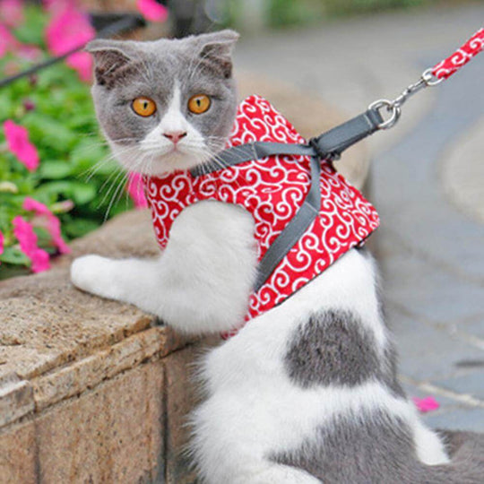 Katten Harnas voor Buitenactiviteiten 5
