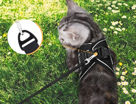 Katten Tuigje voor Avontuurlijke Wandeling met Reflecterende Strips 4