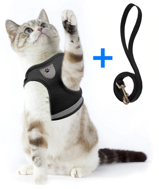 Katten Tuigje voor Avontuurlijke Wandeling met Reflecterende Strips 7