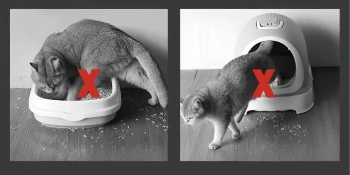 Kattenbakmat Antislip Waterdicht Groot 3