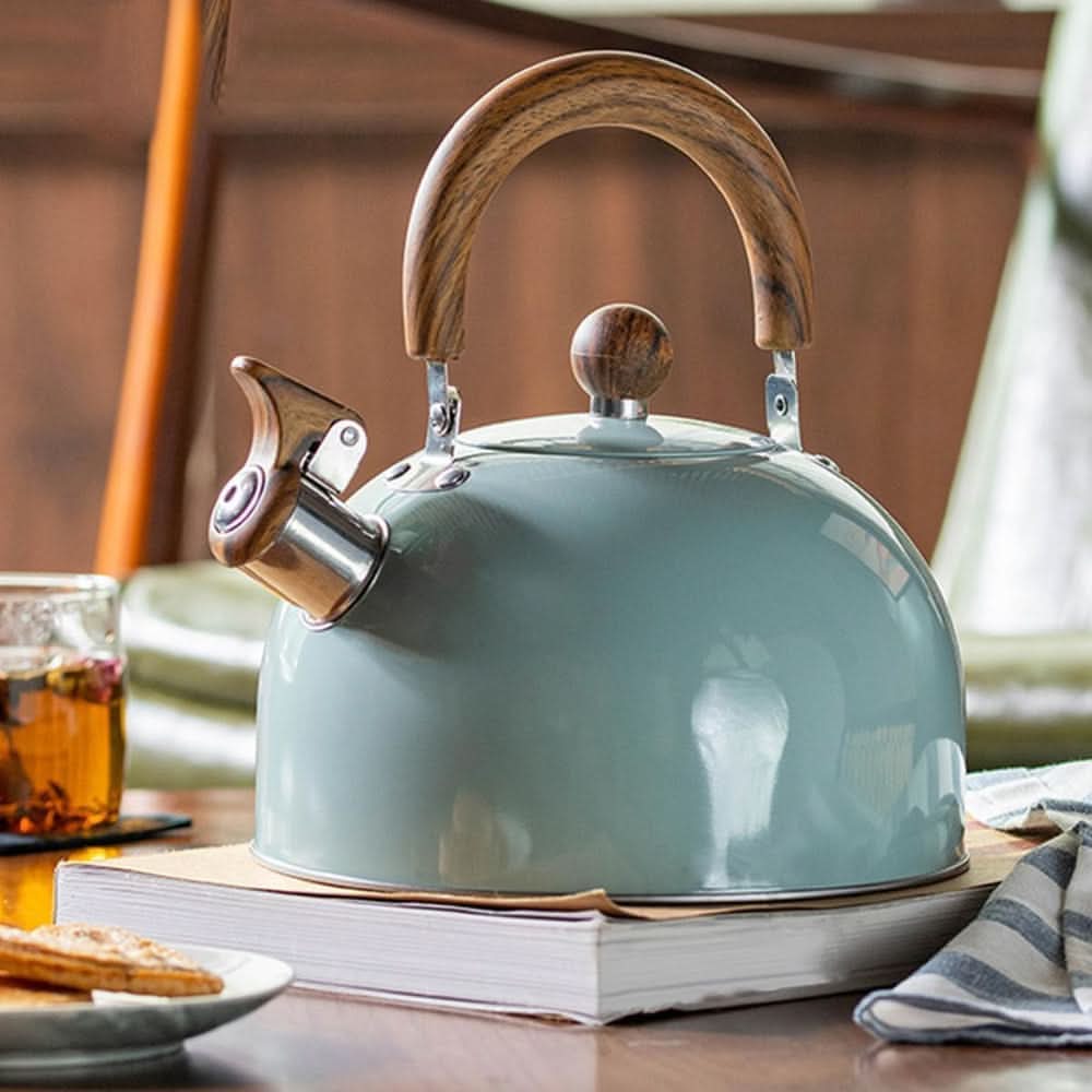 Klassieke Fluitketel 3 Liter met Modern Design 0