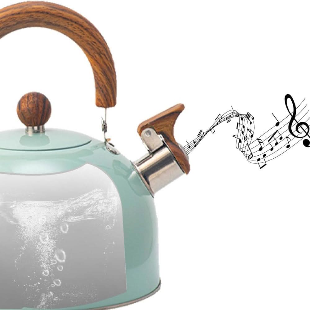 Klassieke Fluitketel 3 Liter met Modern Design 4