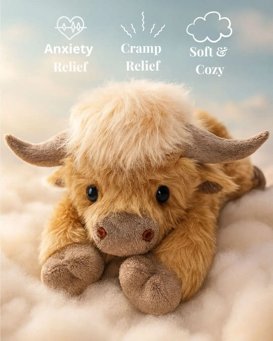 Knuffel van Hooglandvee met Pluizige Charme 2