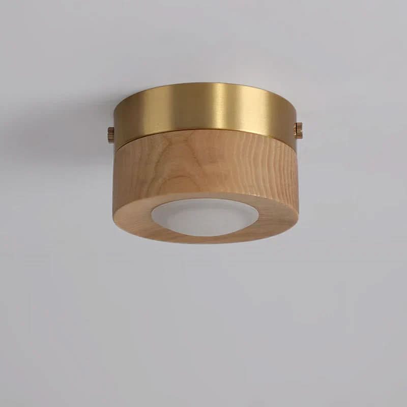 Plafondlamp voor Woonkamer met Natuurlijke Charm 2