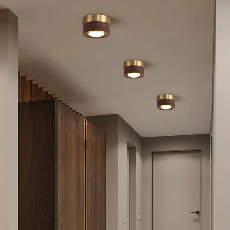 Plafondlamp voor Woonkamer met Natuurlijke Charm 3