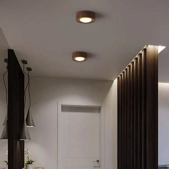 Plafondlamp voor Woonkamer met Natuurlijke Charm 4
