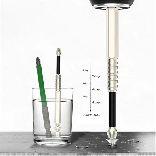 Precisie Schroevendraaier Bits Set Met Magnetische Grip 6