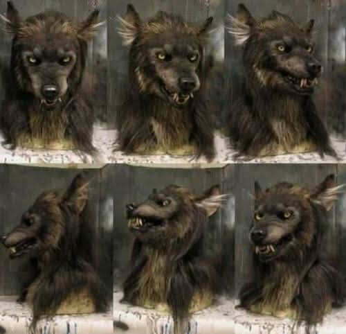 Weerwolfmasker voor Halloween en Cosplay 1