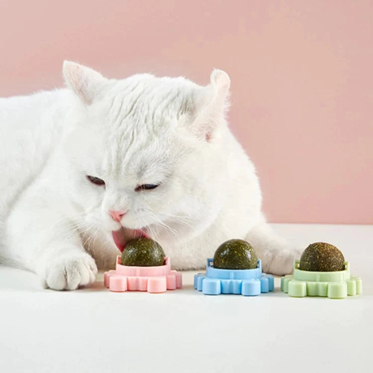 Krab Draaibare Kattenkruid Bal