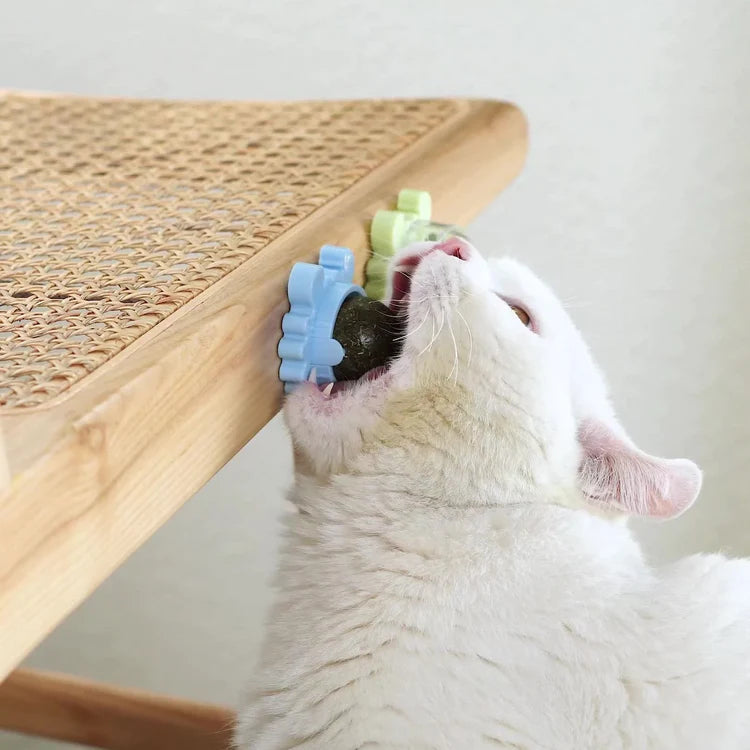 Krab Draaibare Kattenkruid Bal