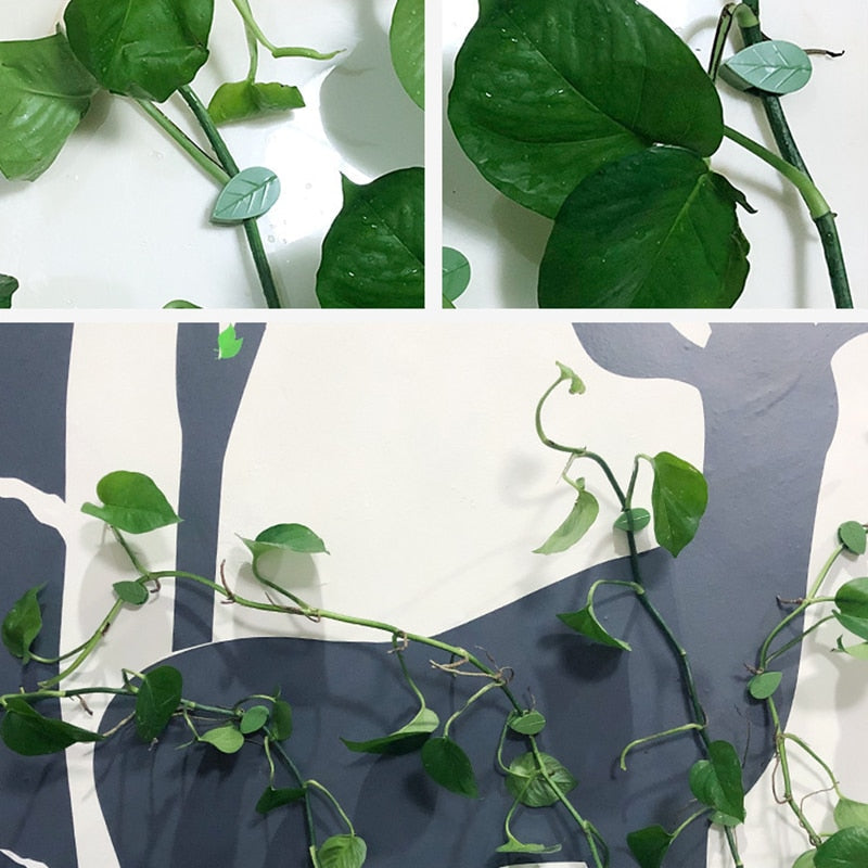 Plant Klimmend Voorwerp Bevestigingsclip Belleza