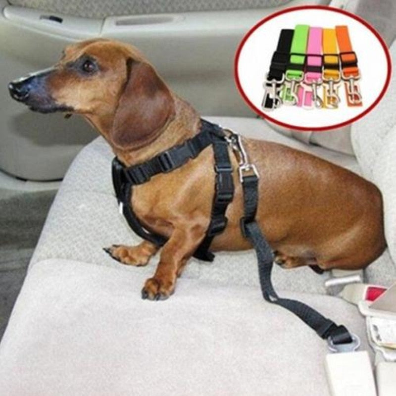 Hond Auto Veiligheidsgordel Belleza