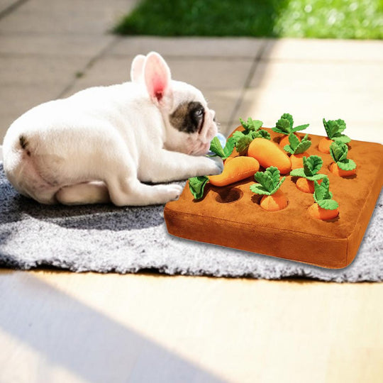 Hond Wortel Pluche Speelgoed