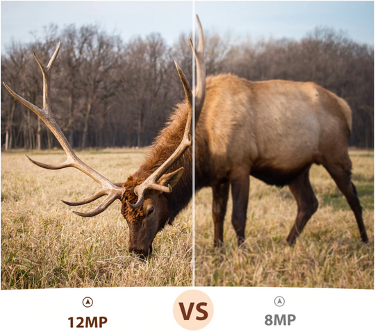 WildCam PRO Agent