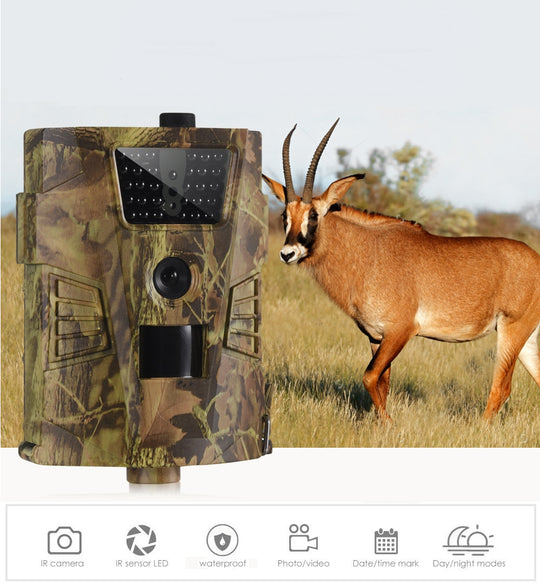 WildCam PRO Agent