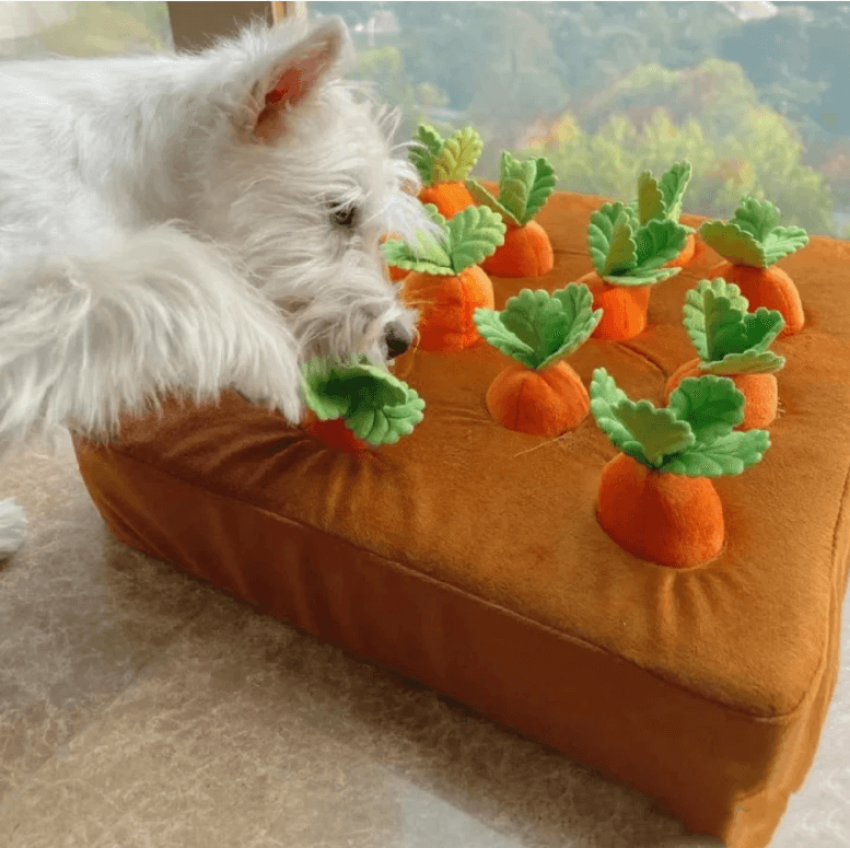 Hond Wortel Pluche Speelgoed