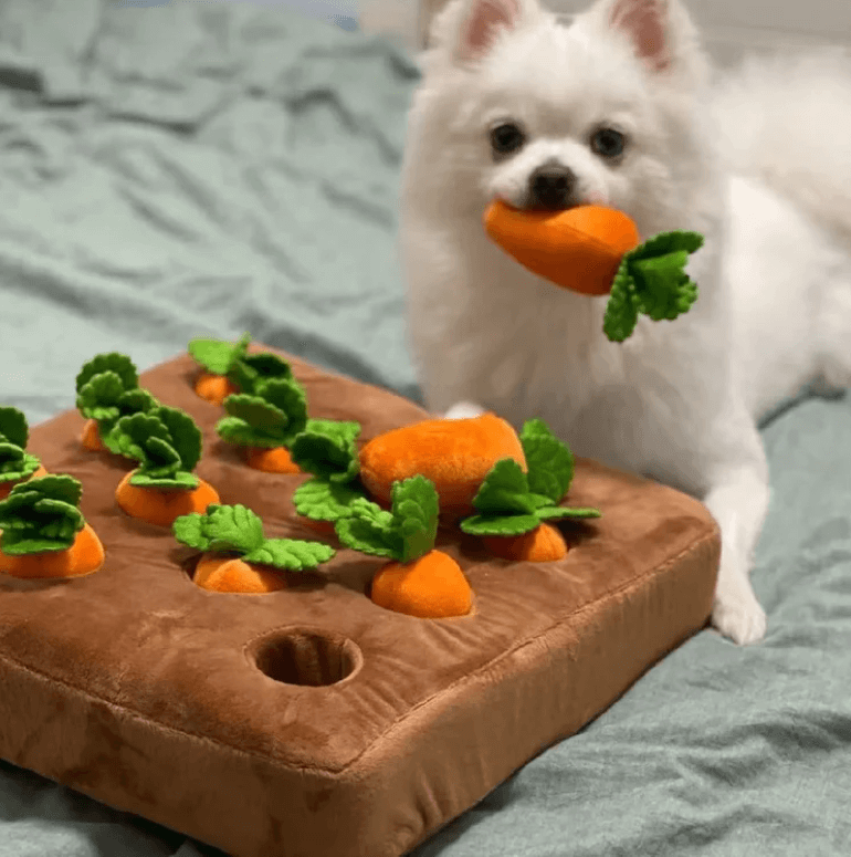 Hond Wortel Pluche Speelgoed