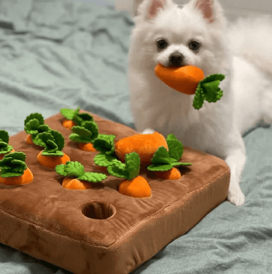 Hond Wortel Pluche Speelgoed