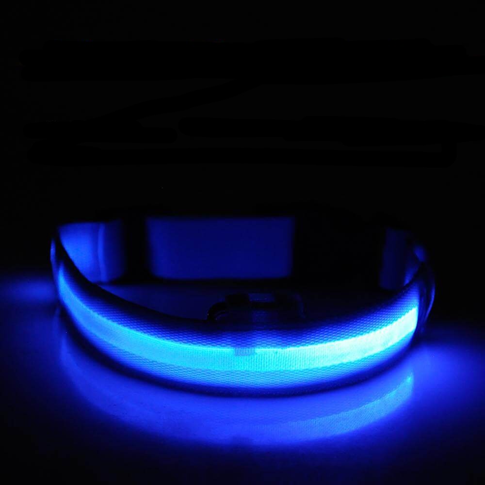 LED Halsband