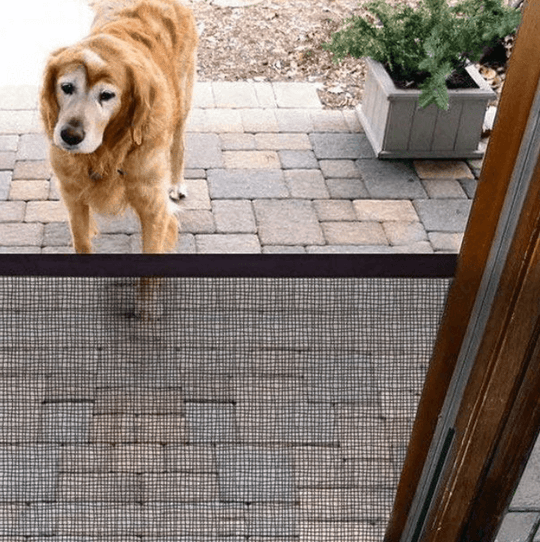 Huisdieren Veiligheidsdeur Bewaker Belleza